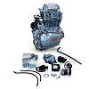 Двигатель 250см3 172FMM-5 (PR250 с балансиром) (полный комплект) DRIVEPARTS