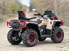 Квадроцикл AODES PATHCROSS 800L MUD PRO (песочный) 2026